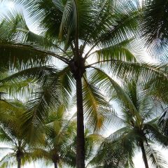 Costa Rica