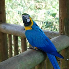 Costa Rica