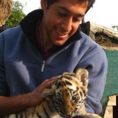 South Africa Big 5