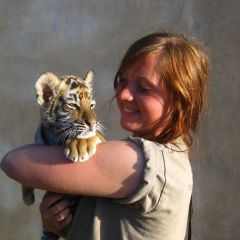 South Africa Big 5