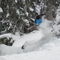 Skiforce cross skis