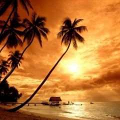 Project then chill out in the Spice islands