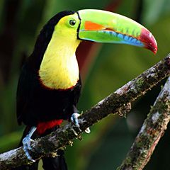 South-africa-wildlife-02