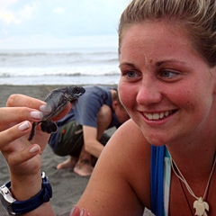 South-american-turtles-01