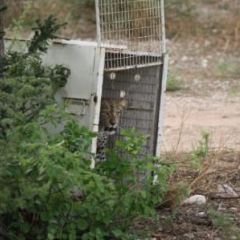 Img 4828