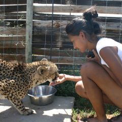 Animal feeding