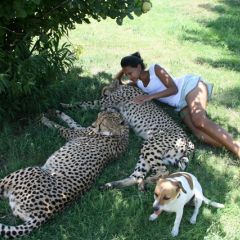 Relaxing with the animals