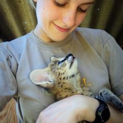 Mary and seval kitten
