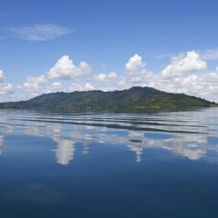  borneo