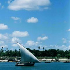 Island8