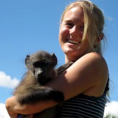 Baboons 10