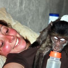 Naan ku se volunteering - baboons 9