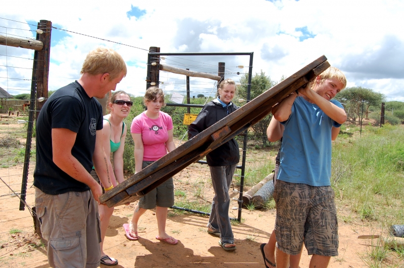 Volunteering - baboon camp 3
