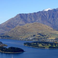 New zealand paid work (3)