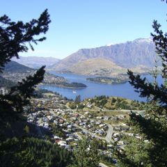 New zealand paid work (4)