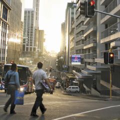 New zealand paid work (5)