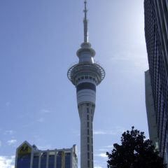 New zealand paid work (7)
