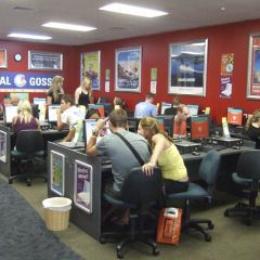 New zealand paid work (9)