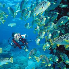 Scuba-2 - copy