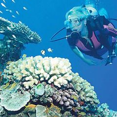 Scuba - copy