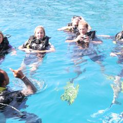 Thai diving 15