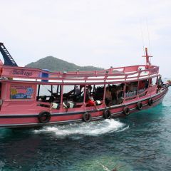 Thai diving 8