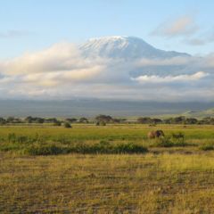 Gallery-kili-01