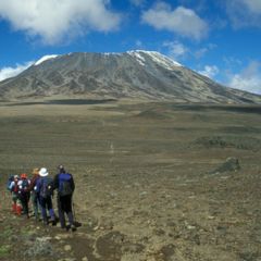 Gallery-kili-10