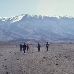 Gallery-kili-12