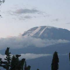 Gallery-kili-15