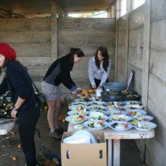 Img 2094s