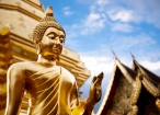 Golden buddha