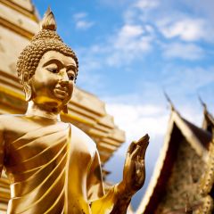 Golden buddha