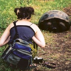 Visiting the Galapagos Islands