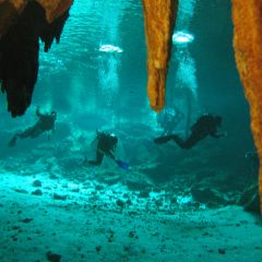 A weekend trip to the cenotes in tulum 3384685176 o