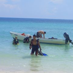 After a dive 3384711006 o
