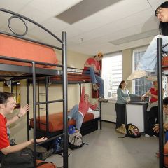 Dorm auckland