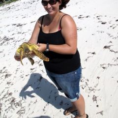 Volunteer Releasing a Turtle