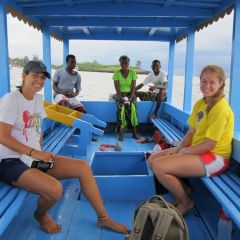 Volunteers Carrying out Dolphin Research