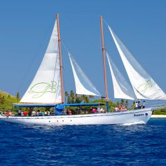 Fijifling1-800x600
