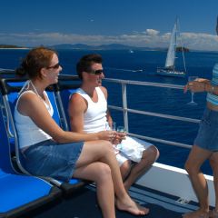 Cruising-800x600