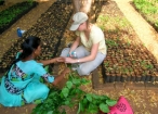 India conservation
