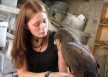 Mexico animal care