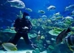 Scuba-diving