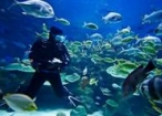 Scuba-diving