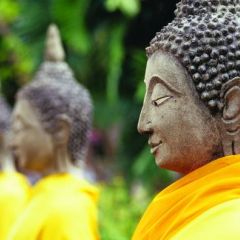 Thailand tefl