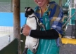 South africa animal care