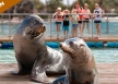 Seaworld