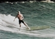 Surfworld1