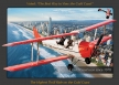Tigermoth